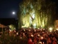 SUMMERTIMEBLUES 2003