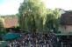 SUMMERTIMEBLUES 2006