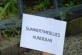 SUMMERTIMEBLUES 2009