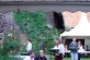 SUMMERTIMEBLUES 2009