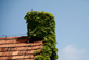 SUMMERTIMEBLUES 2014 - Vorarbeiten