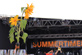 SUMMERTIMEBLUES 2014 - Vorarbeiten