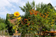 SUMMERTIMEBLUES 2014 - Vorarbeiten