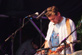 SUMMERTIMEBLUES 2014 - Freitag