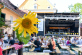 SUMMERTIMEBLUES 2018